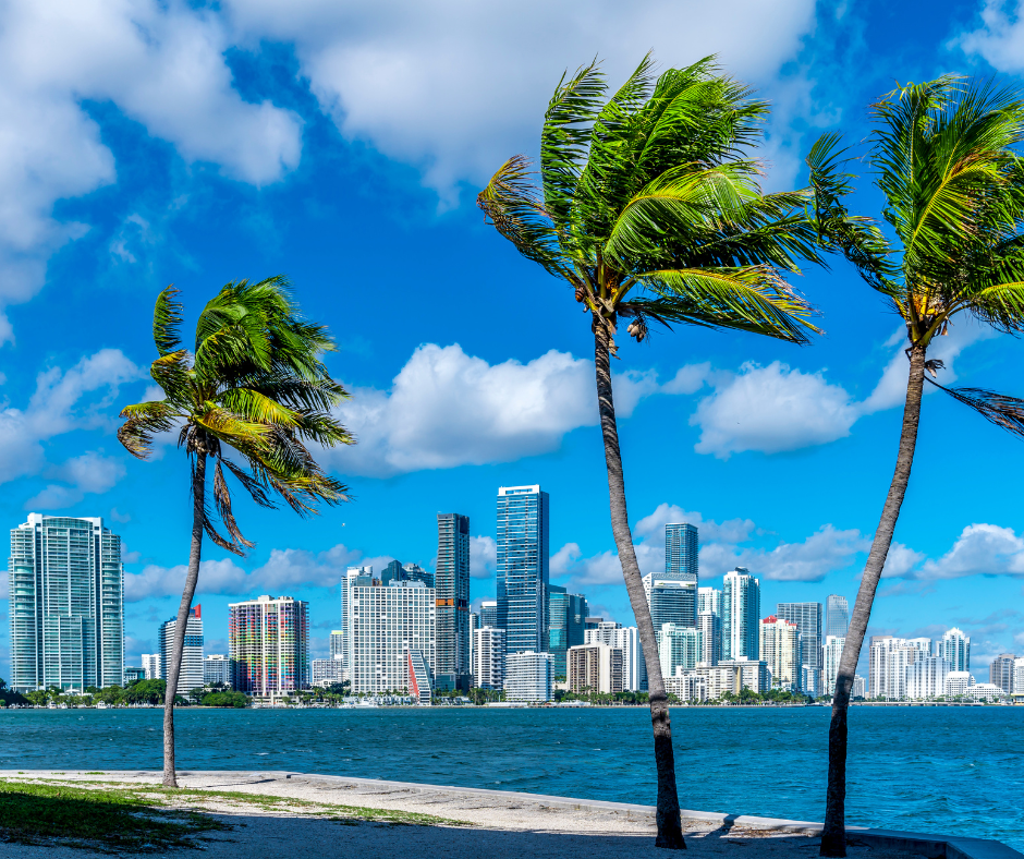 Smarter Offer - Miami Beach
